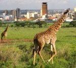 Nairobi City Excursions