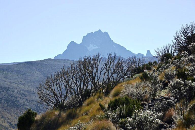 5 Days - Mt. Kenya up Sirimon down Chogoria